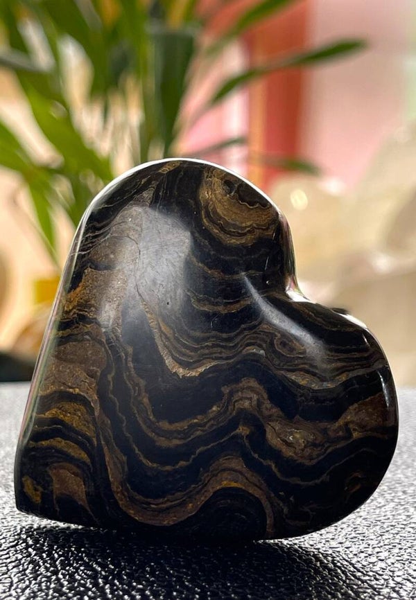 Stromatoliet hart, medium