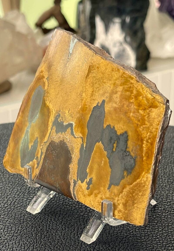 Tijgerijzer uit Madagaskar plat stuk, één zijde gepolijst, groot