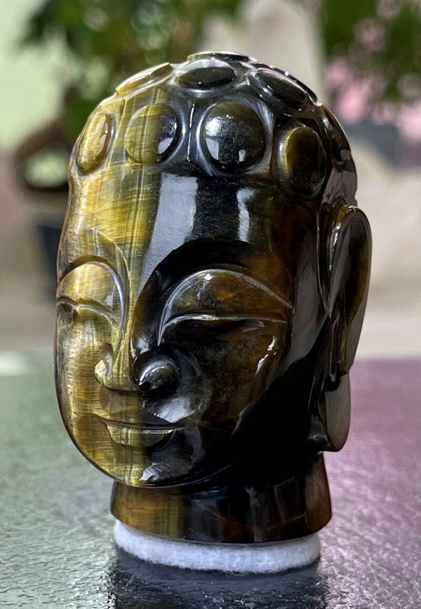 Boeddha hoofd van Tijgeroog, klein-medium