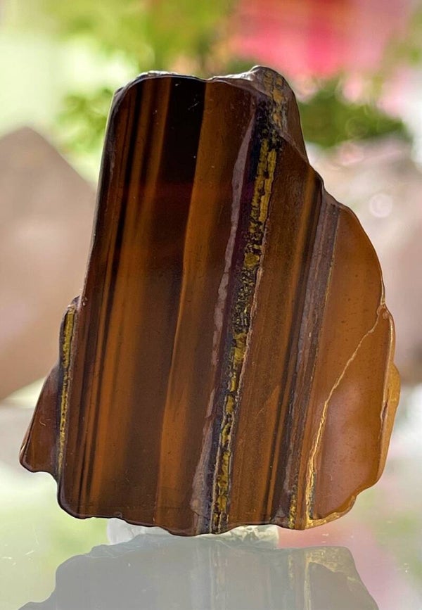 Tijgerijzer schijf, twee zijden gepolijst, buitenrand getrommeld