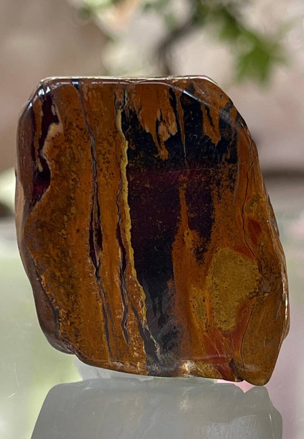 Tijgerijzer schijf, twee zijden gepolijst, buitenrand getrommeld