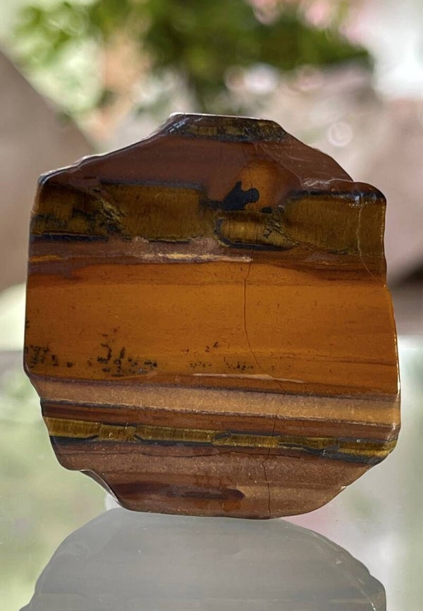 Tijgerijzer schijf, twee zijden gepolijst, buitenrand getrommeld