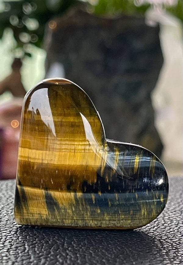 Valkenoog hart, medium