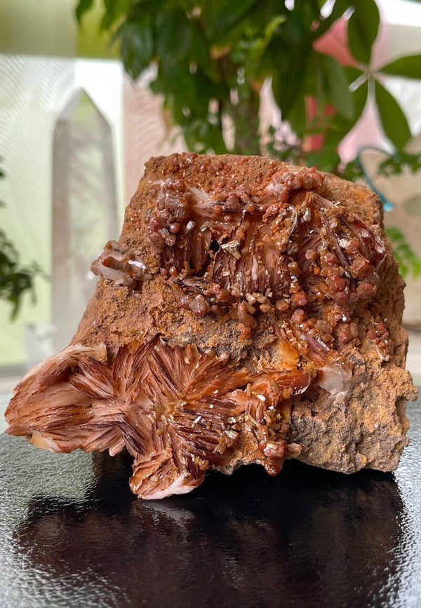 Vanadiniet en Bariet op matrix uit Marokko ruw, groot