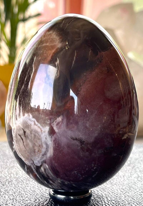 Versteend Hout ei, groot 9,4cm