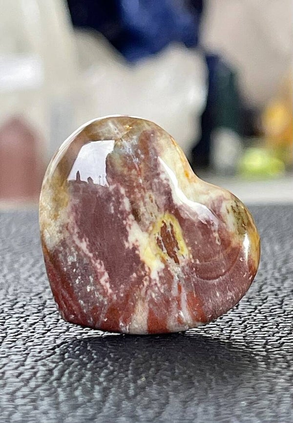 Versteend Hout hart, klein