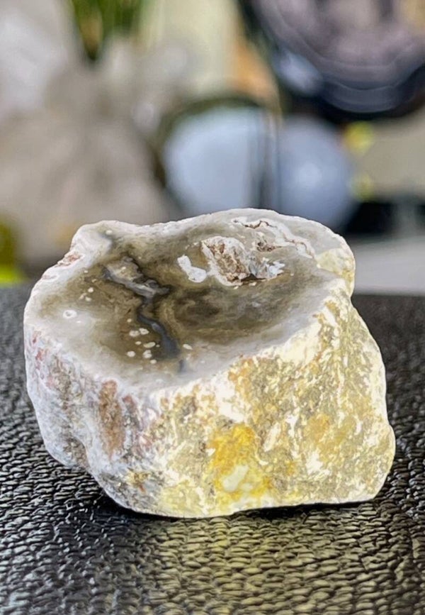 Versteend Hout uit Hongarije ruw met gepolijste bovenkant, klein