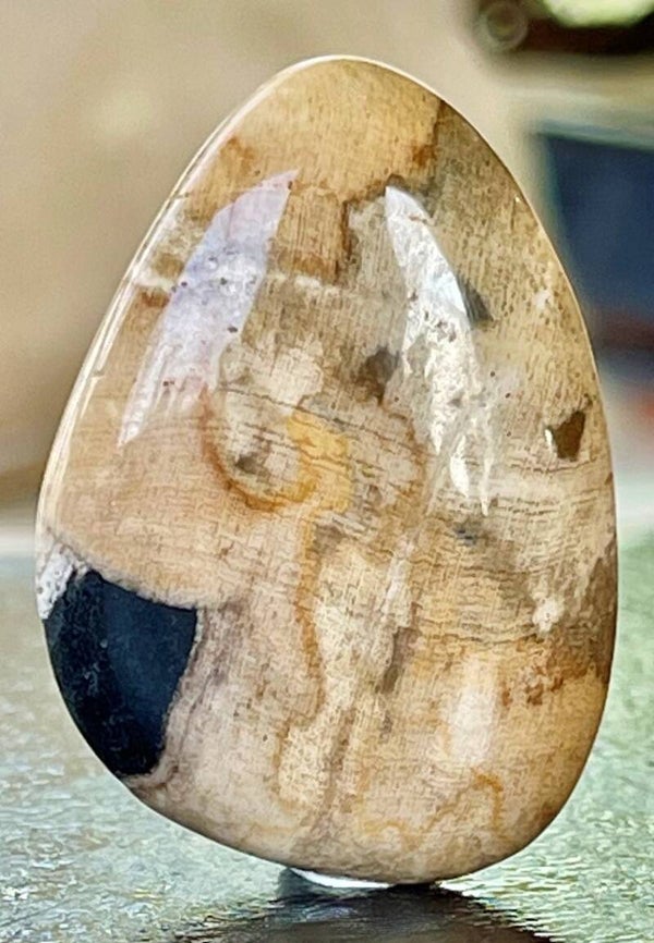 Versteend Hout knuffelsteen plat