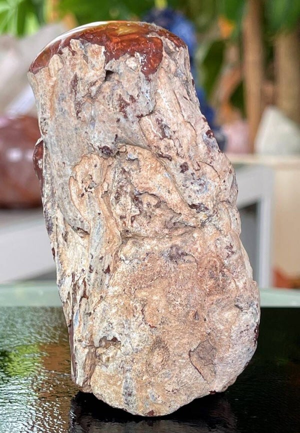 Versteend Hout ruw met gepolijste bovenkant, medium