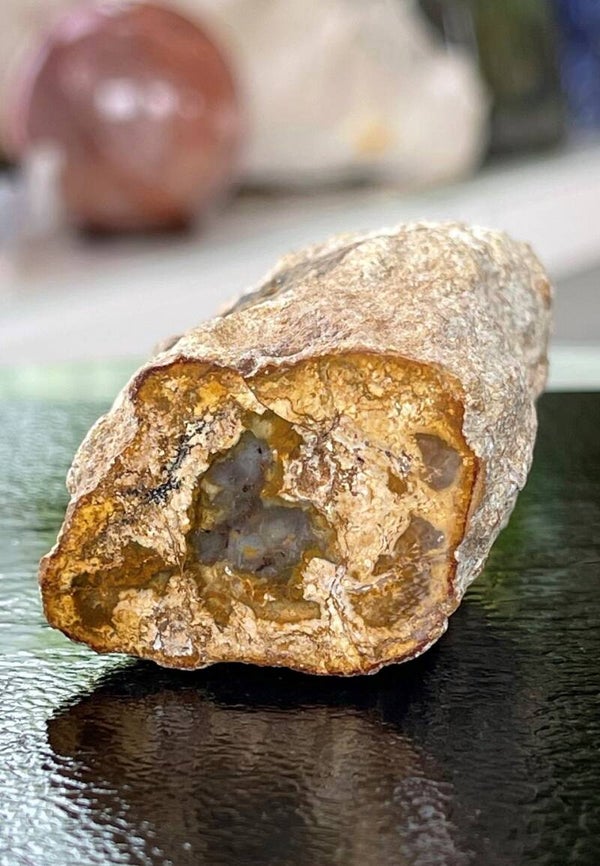 Versteend Hout ruw met gepolijste bovenkant, klein-medium