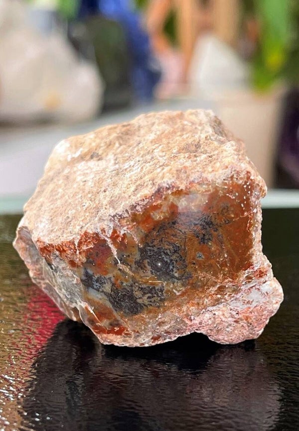 Versteend Hout ruw met gepolijste bovenkant, medium