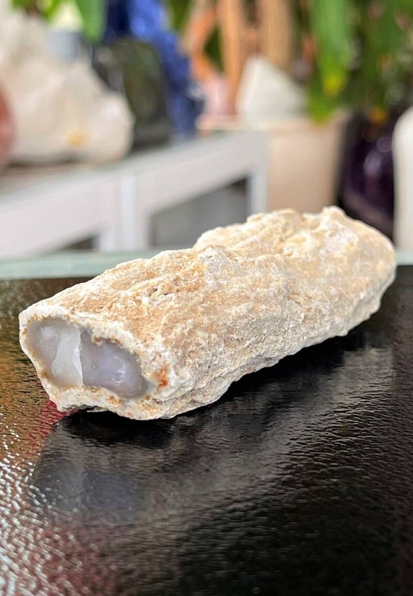 Versteend Hout ruw met gepolijste bovenkant, medium