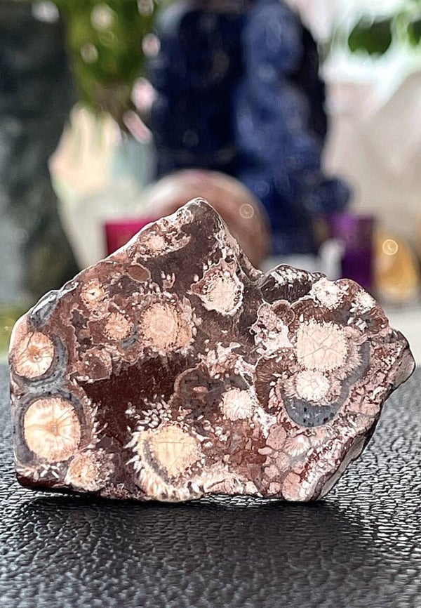 Vogeloog Jaspis knuffelsteen plat, medium-groot