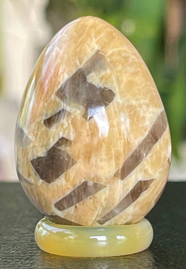 Zebra Veldspaat ei, klein-medium 4,2cm