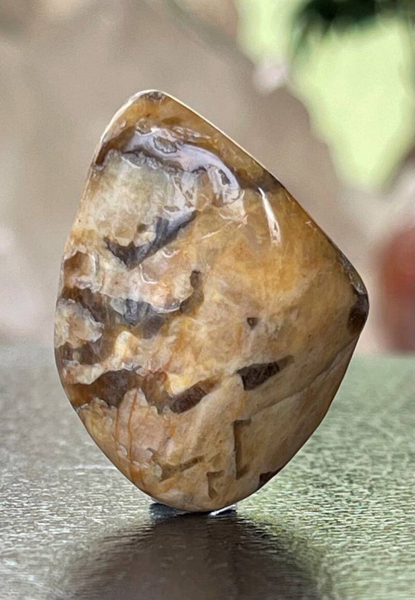 Zebra Veldspaat trommelsteen