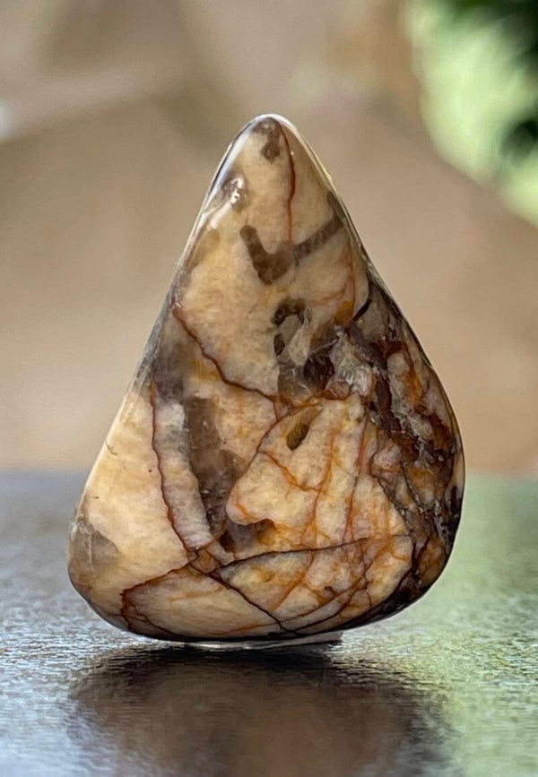 Zebra Veldspaat trommelsteen