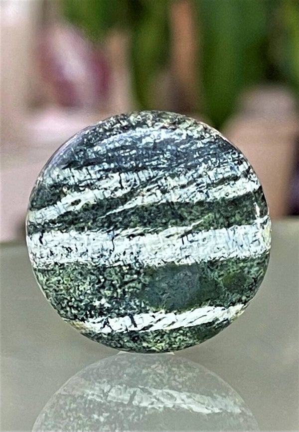 Zilveroog Serpentijn edelsteen cabochon rond, groot