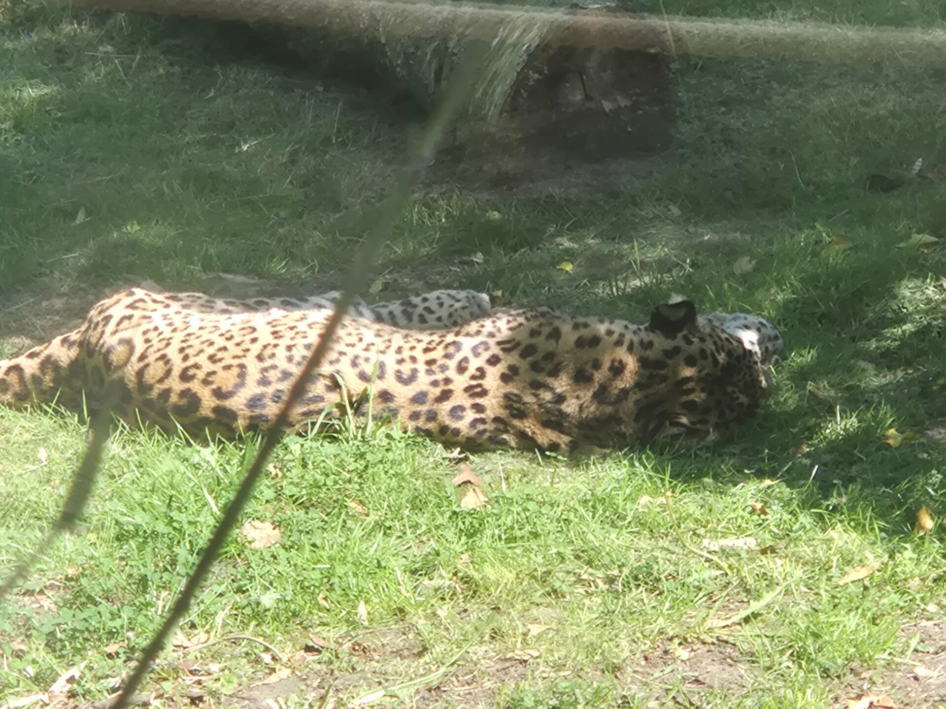 20260430_154326-standard.jpg