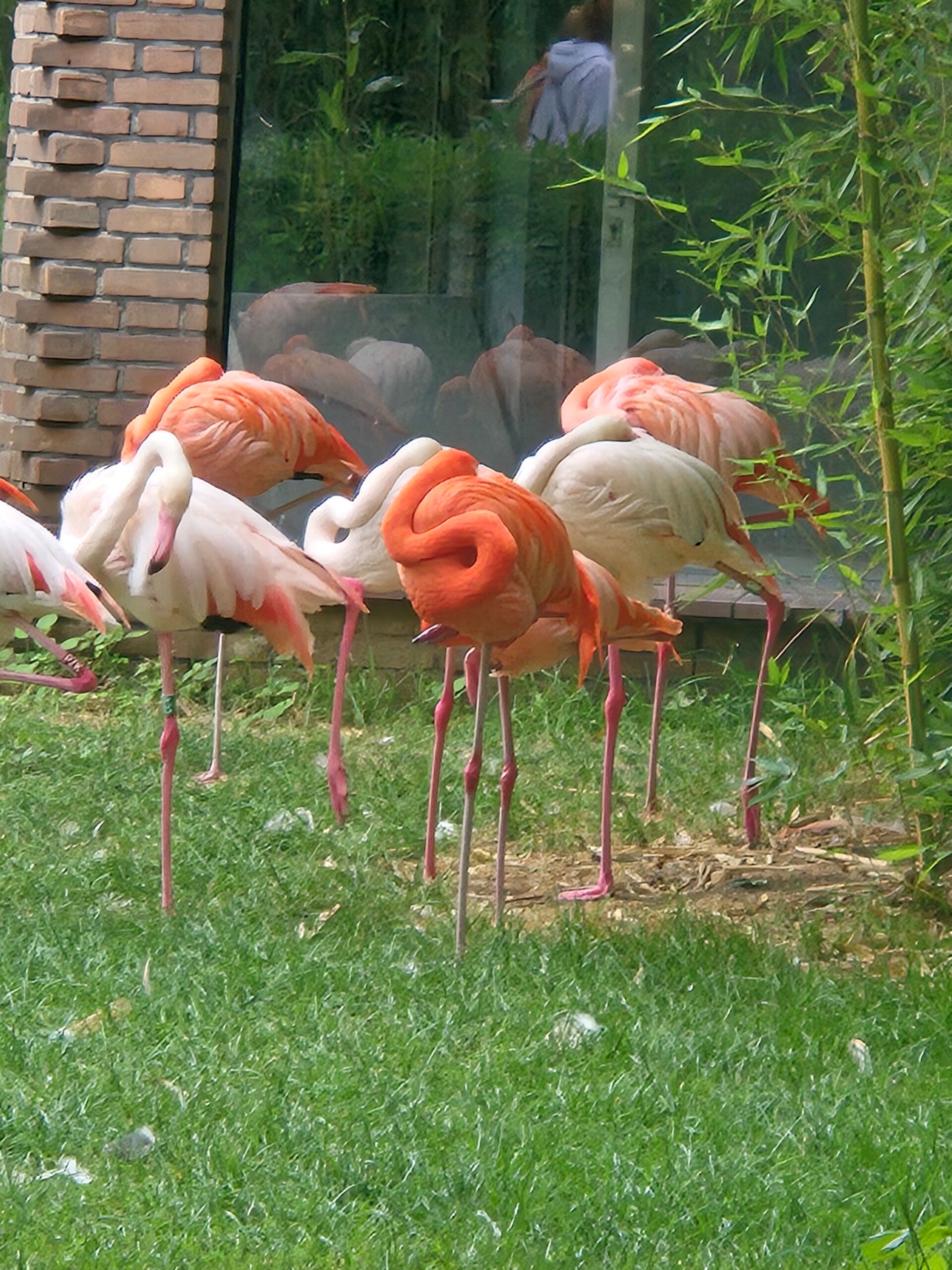 20260723_115538-standard.jpg