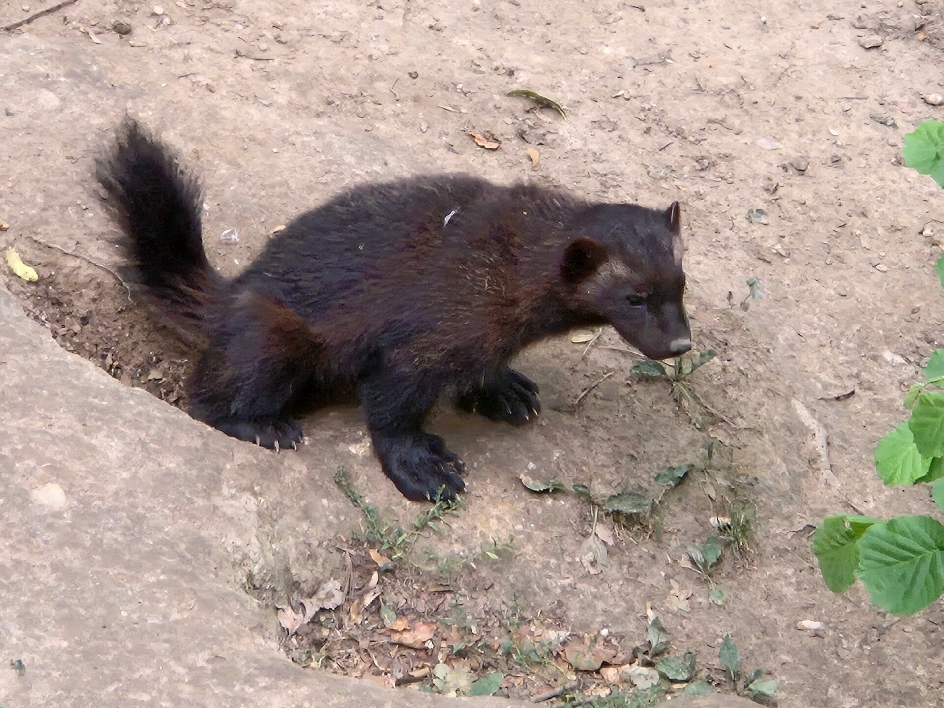 20260727_111449-standard.jpg