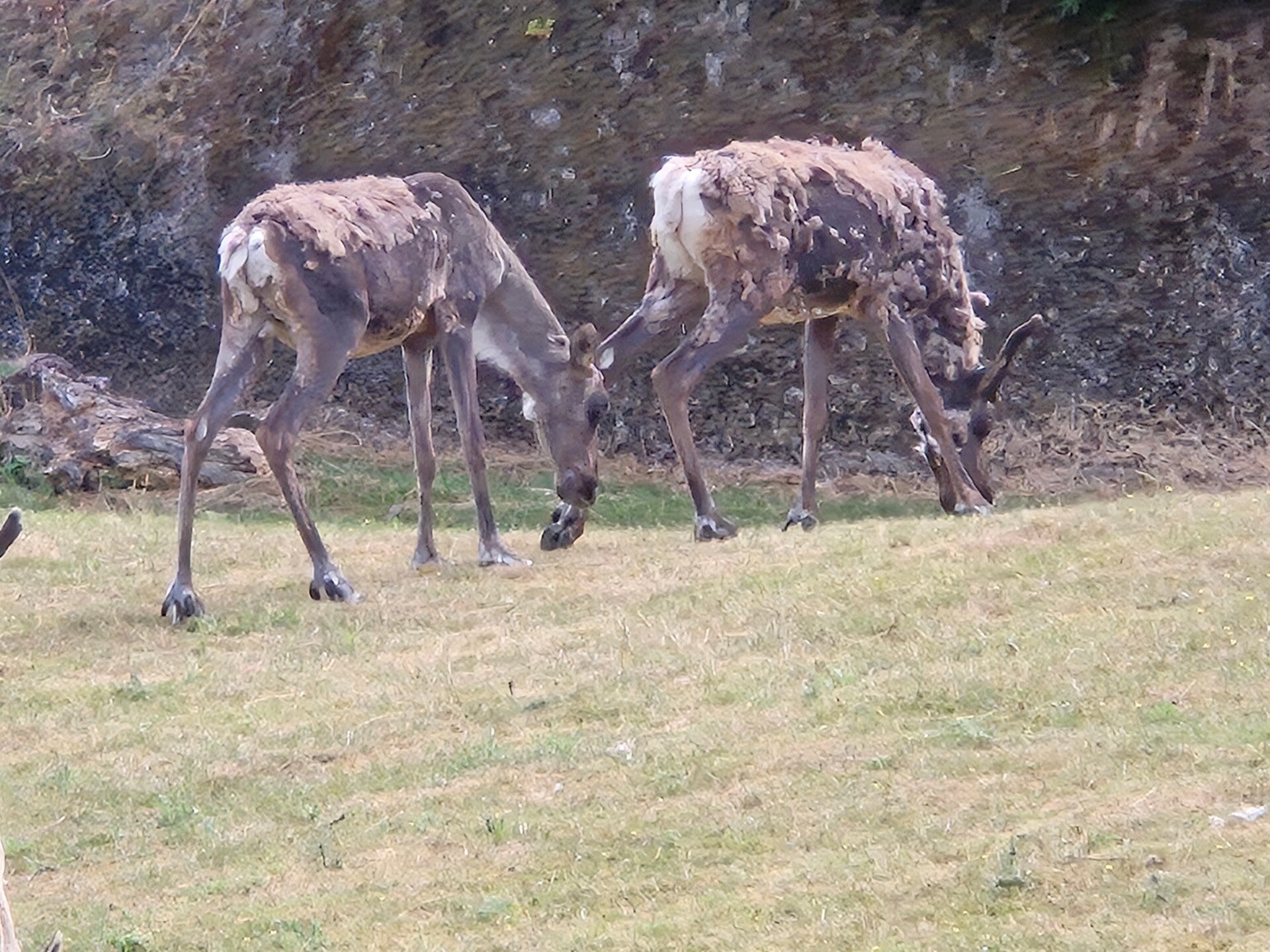 20260727_112445-standard.jpg