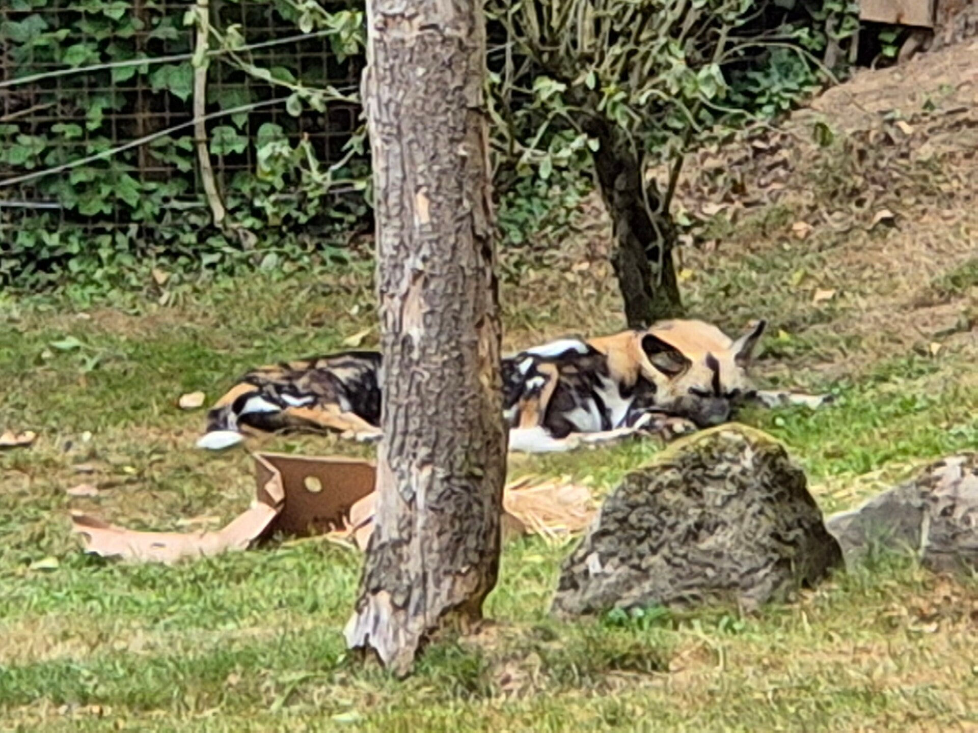 20260727_135716-standard.jpg