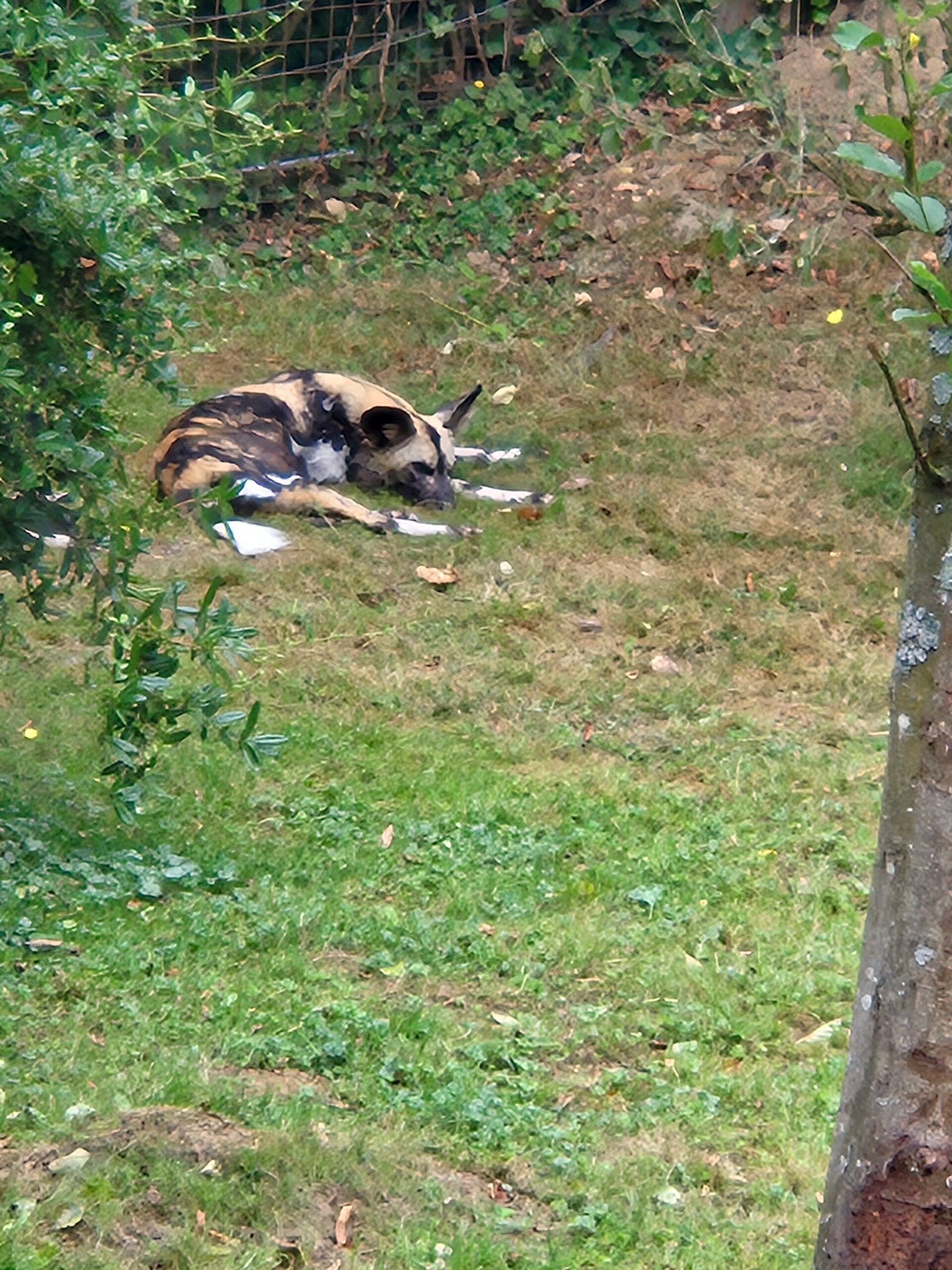 20260727_142144-standard-bcc4lx.jpg