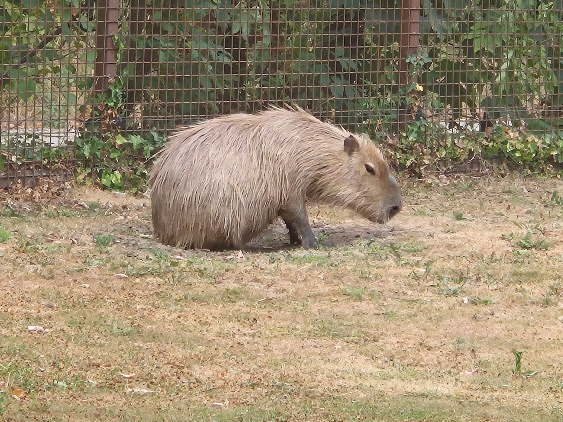 20260727_164511-standard.jpg
