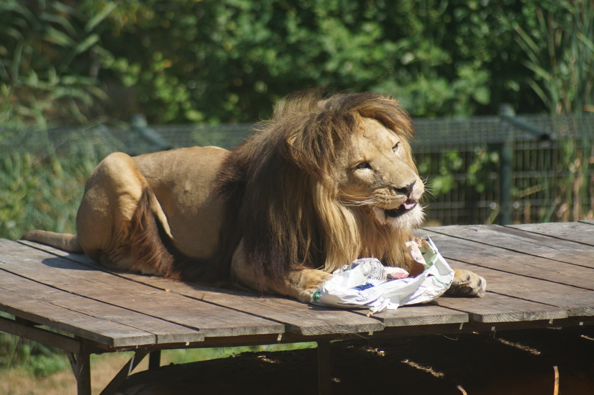 dsc07916-standard.jpg