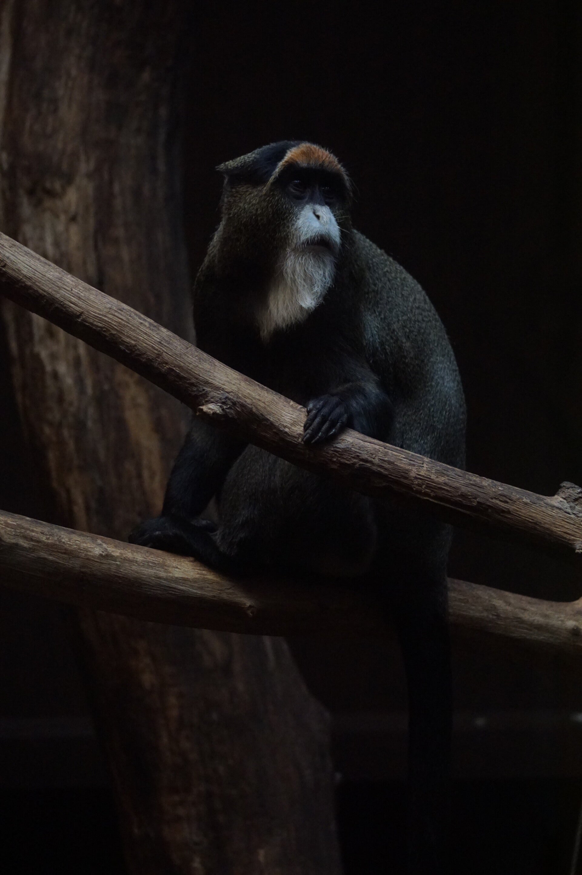 dsc08087-standard.jpg