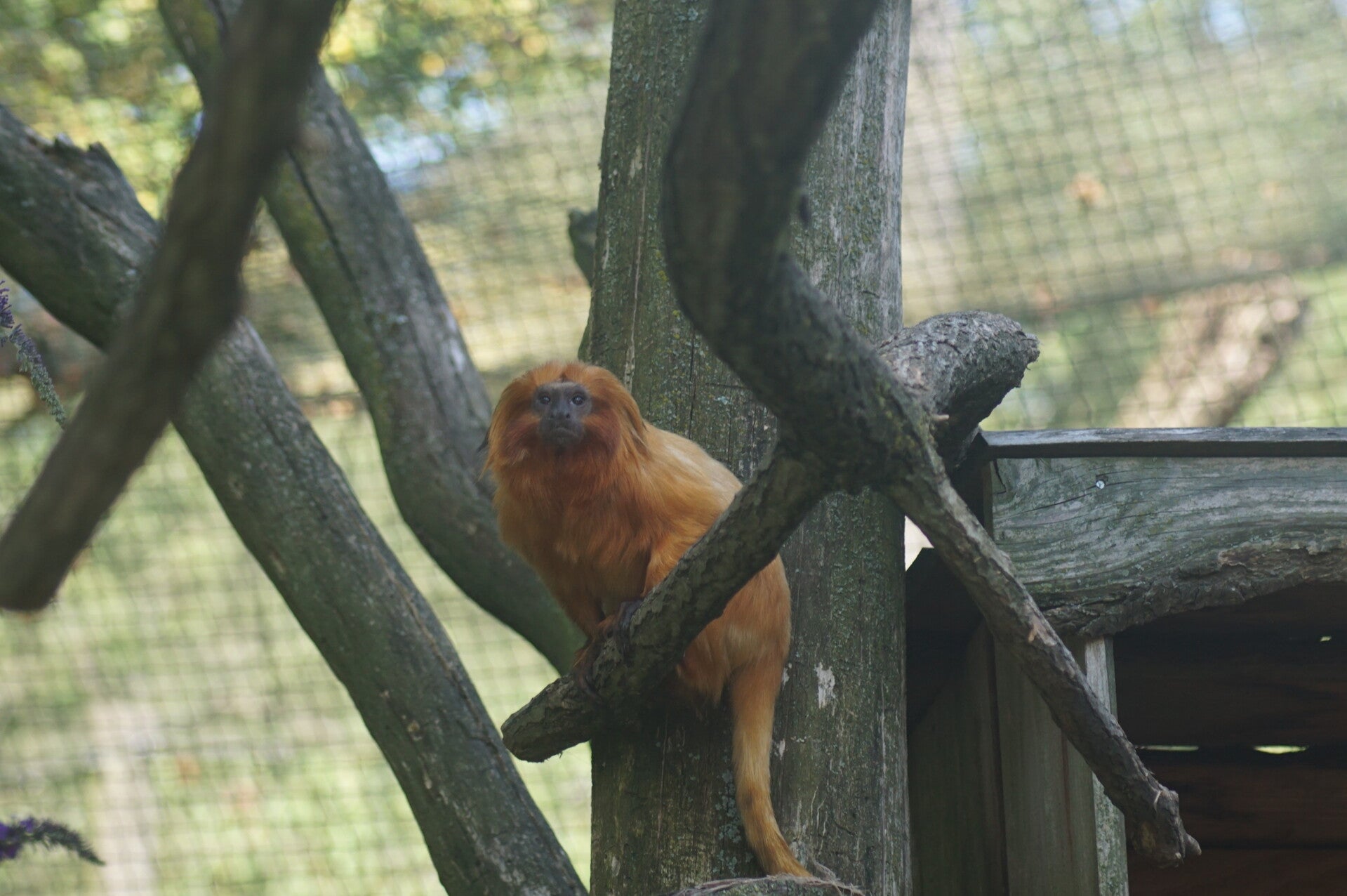 dsc08286-standard.jpg