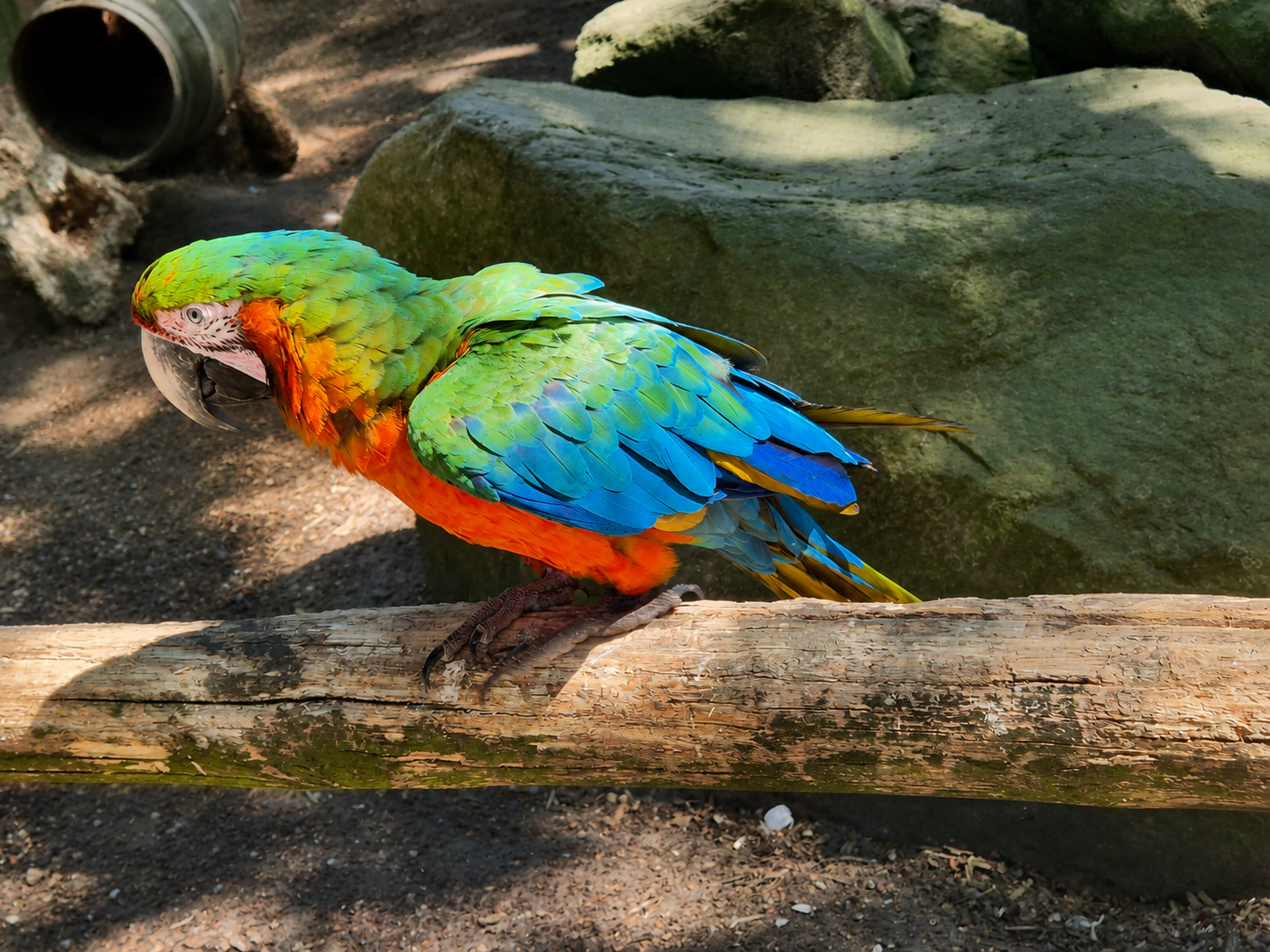 file_00000000b2847243aeaacd2439a573d7-standard-jw393u.png