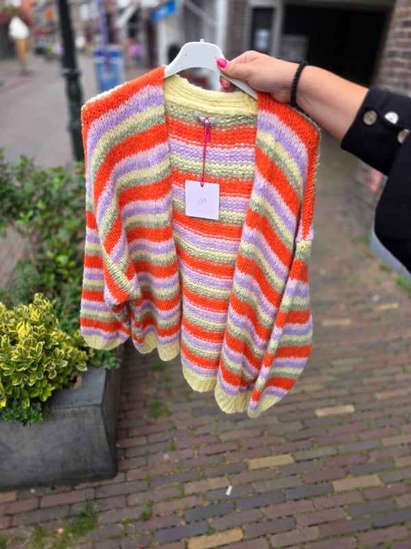 Vest streep collors