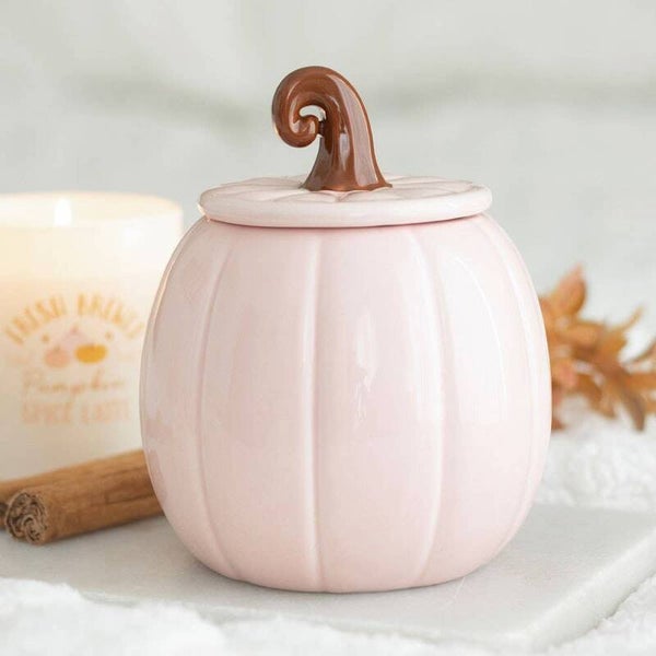 Roze pompoen geurbrander oliebrander