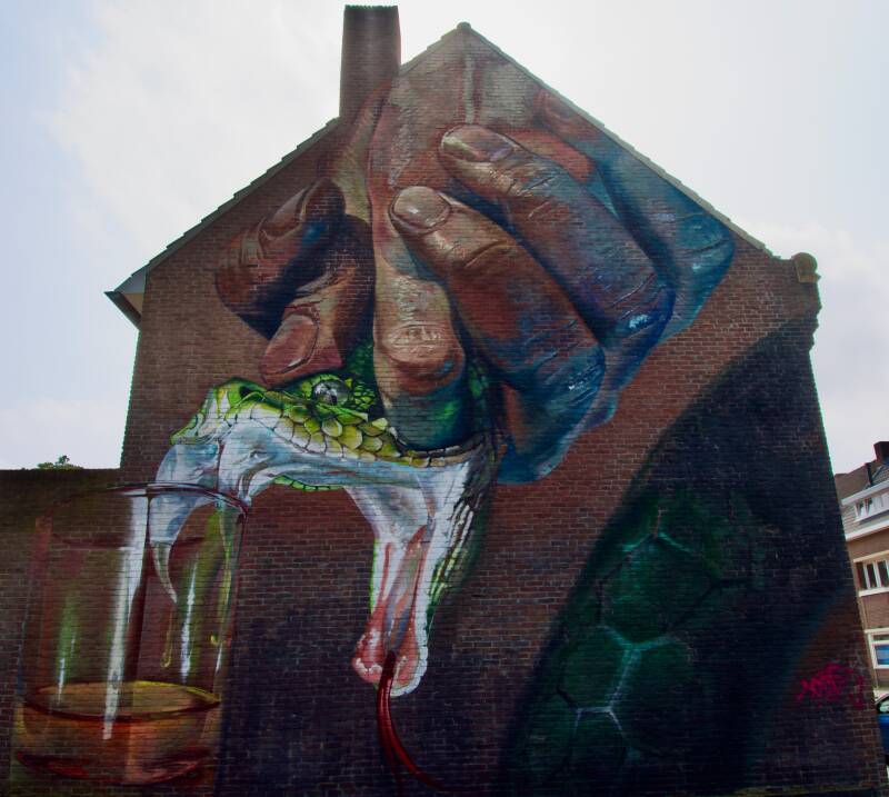 a-miracle-elixir-kruisstraat-heerlen-standard.jpg