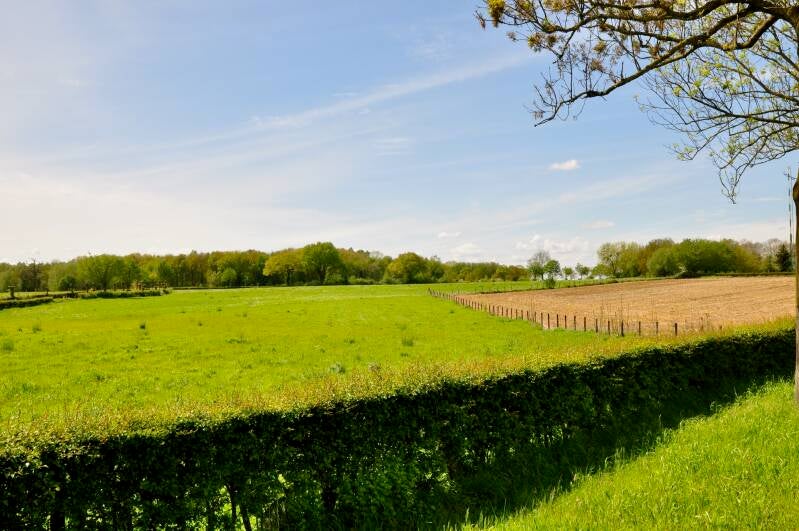 baneheiderweg-bocholtz-standard.jpg