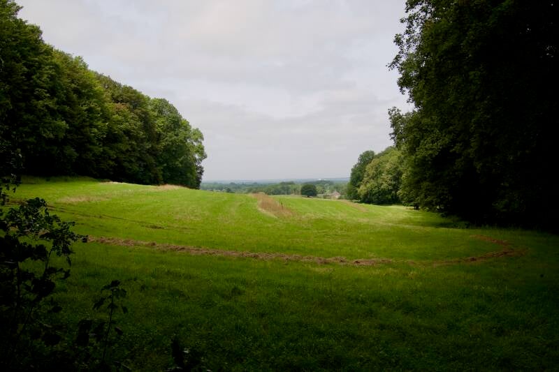 benzenrade-bij-imstenraderbos-heerlen-standard.jpg