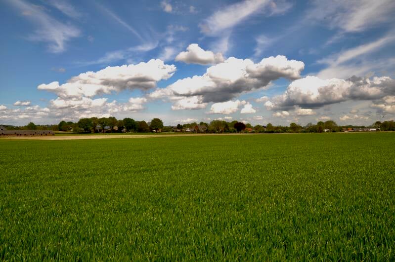 bocholtzerheide-bocholtz-simpelveld-standard.jpg