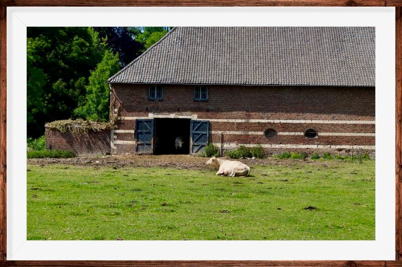 boerderij-kasteel-wittem-standard-ou333a.jpg