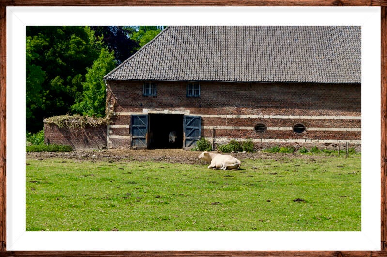 boerderij-kasteel-wittem-standard.jpg