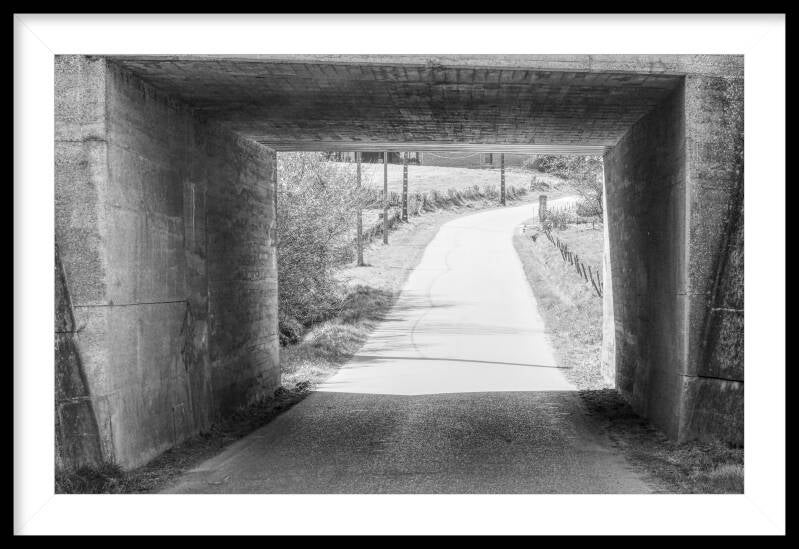brug-belgie-werner-mantz-standard.jpg
