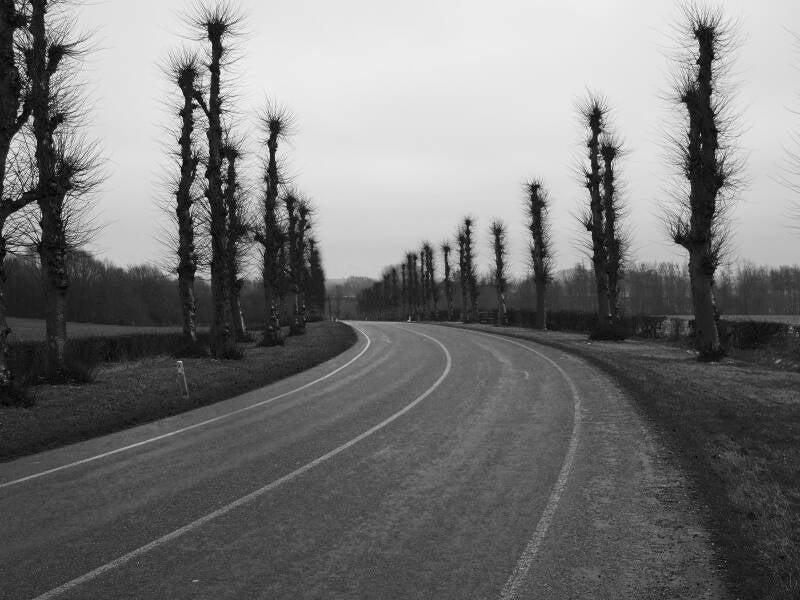 de-allee-wijnandsrade-standard.jpg