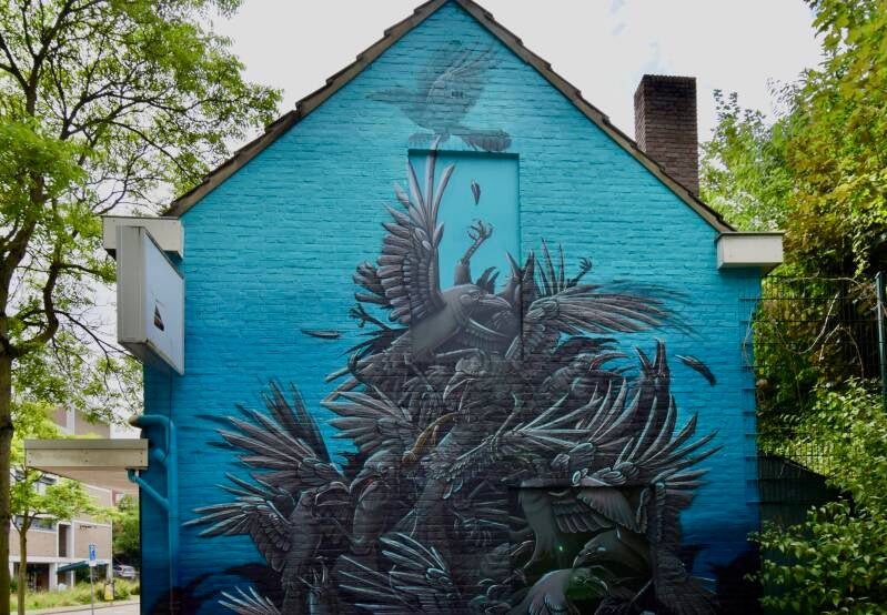 get-out-klompstraat-heerlen-standard.jpg