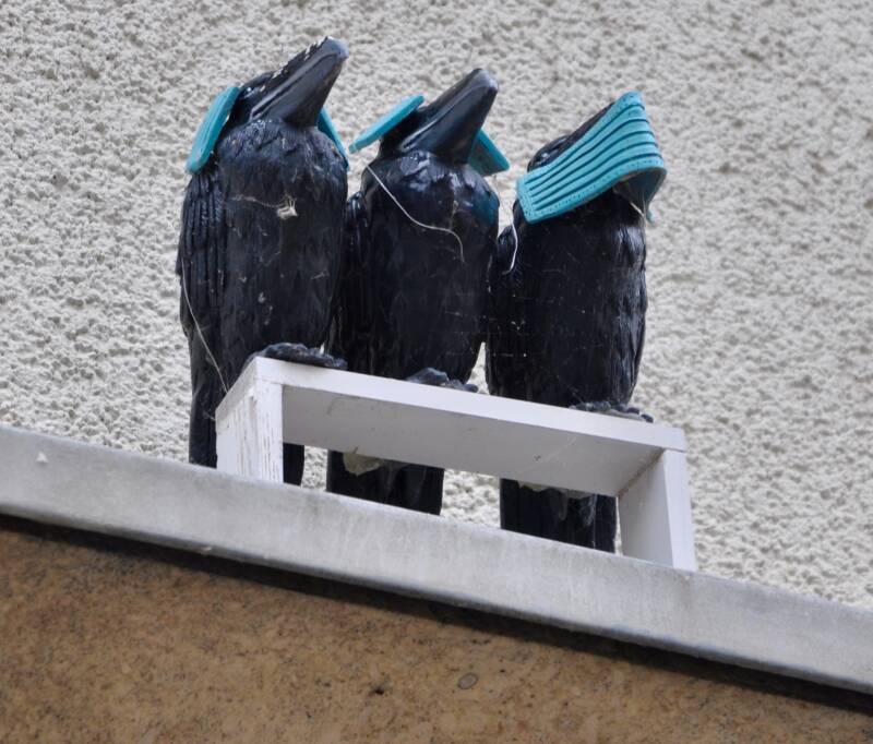 hear-no-evil-see-no-evil-speak-no-evil-dautzenbergstraat-heerlen-standard.jpg