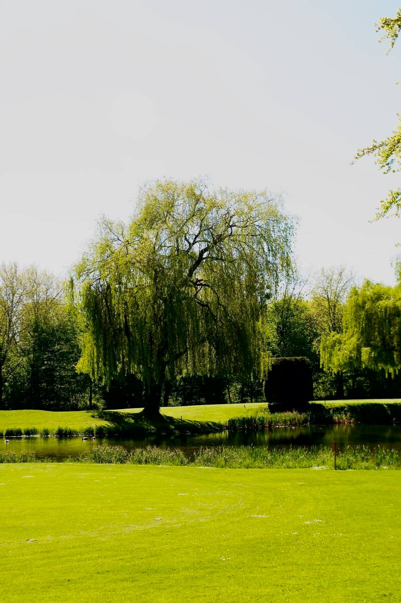 hoensweg-voerendaal-standard.jpg