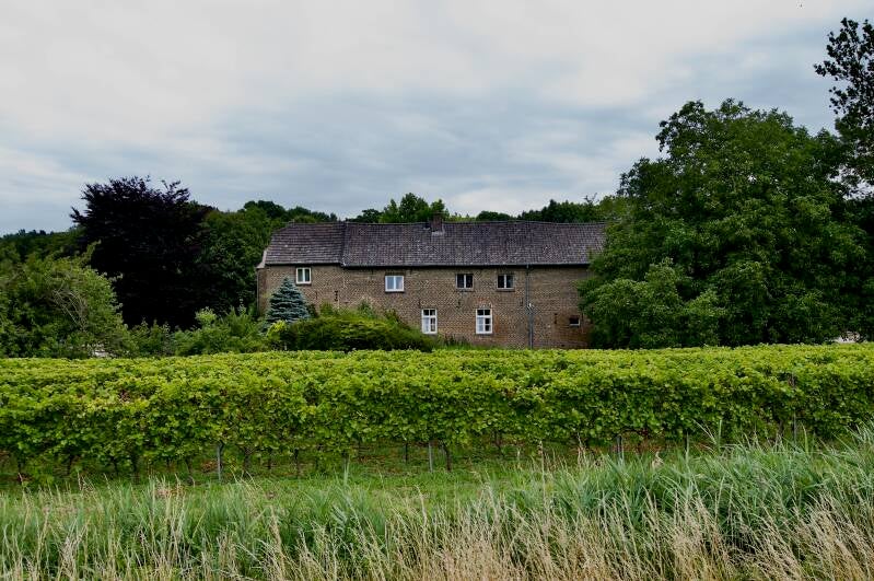 hoeve-nekum-standard-wqmdcn.jpg