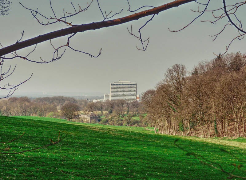 imstenraderbos-heerlen-standard.jpg