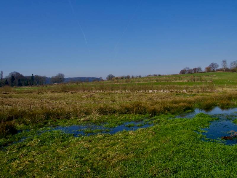 kalkmoeras-achter-kasteel-cartills-standard.jpg