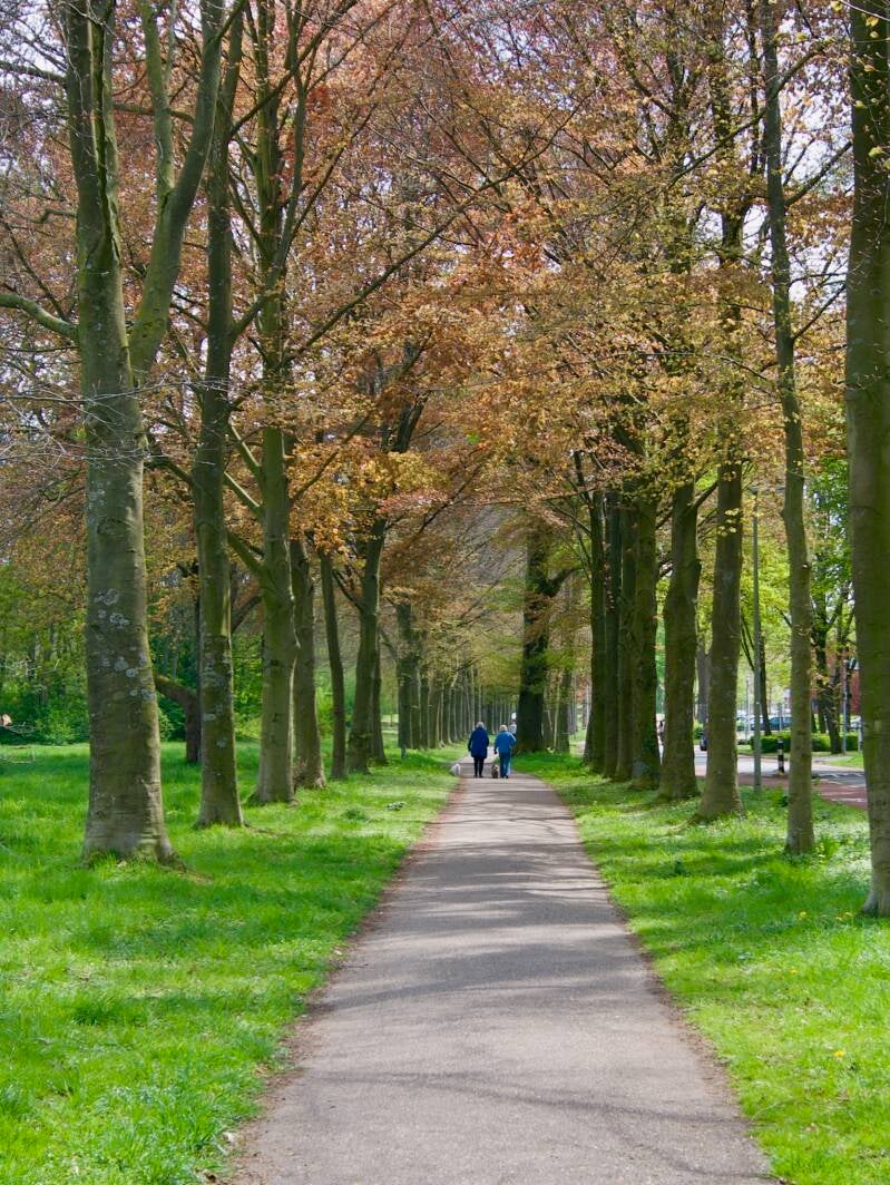 kloosterkensweg-heerlen-standard.jpg