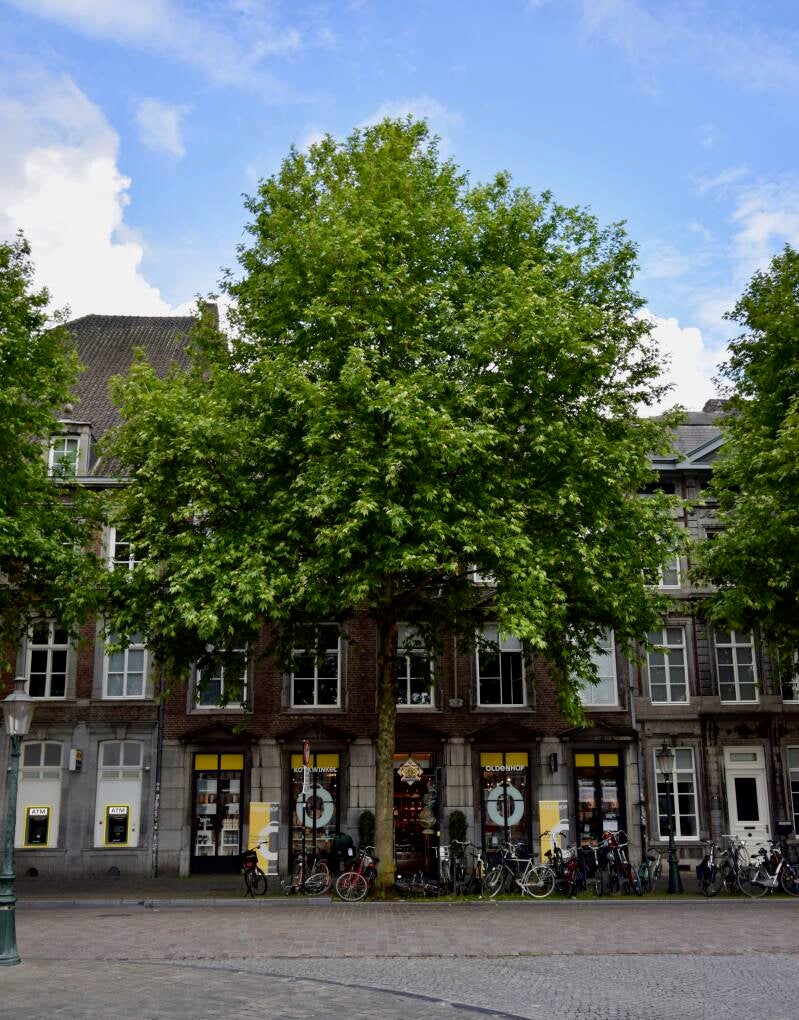 kookhuis-aan-de-maas-maastricht-standard.jpg
